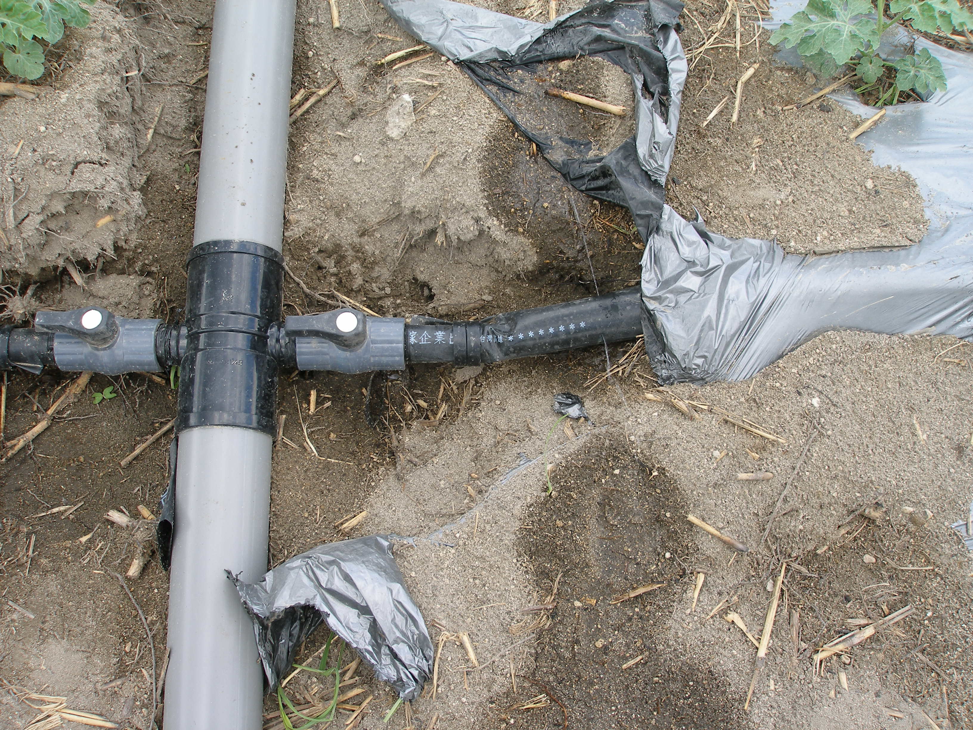 Laid under mulch for dripping of DEAR DEER Single Sprinkler Hose, rain pipe, rain tape, spray tube, irrigation spray hose